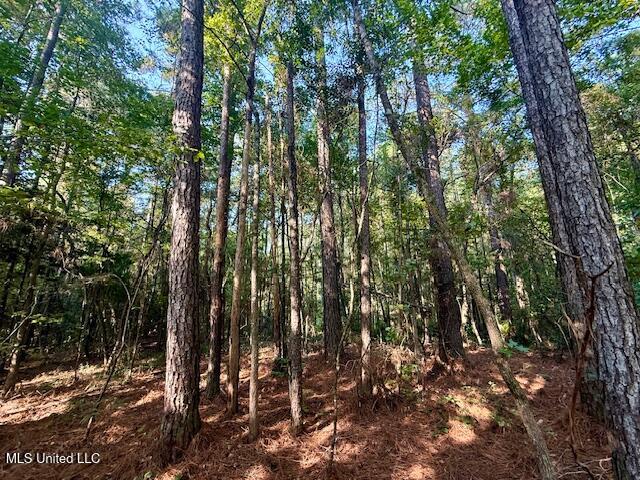 SW Goodwill Loop Loop