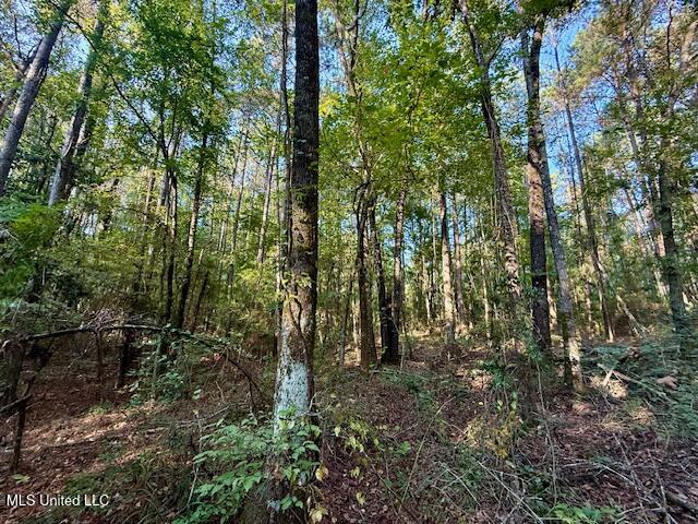 SW Goodwill Loop Loop