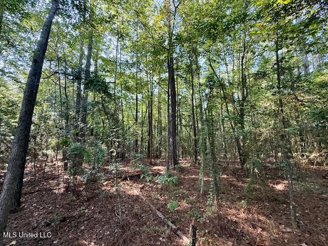 SW Goodwill Loop Loop