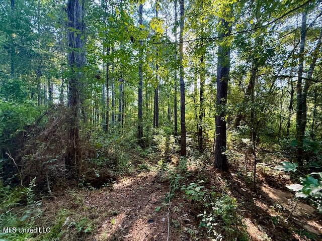 SW Goodwill Loop Loop