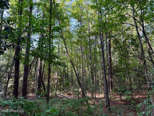 SW Goodwill Loop Loop