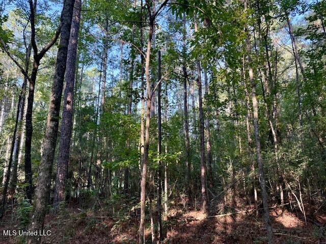 SW Goodwill Loop Loop