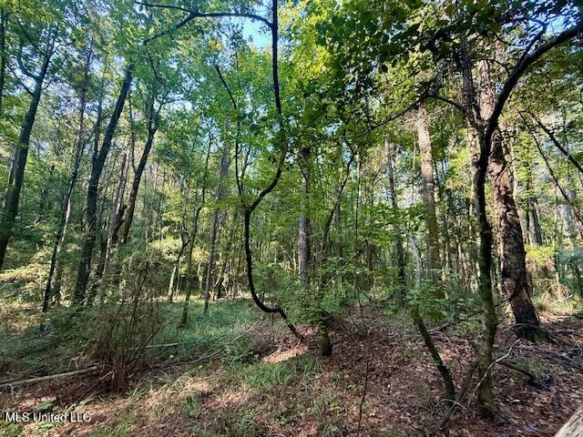 SW Goodwill Loop Loop