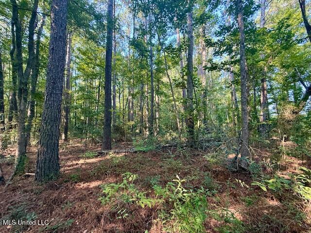 SW Goodwill Loop Loop