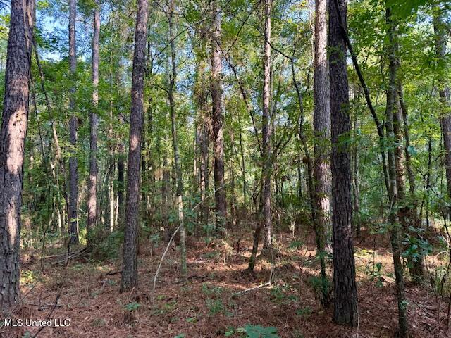 SW Goodwill Loop Loop