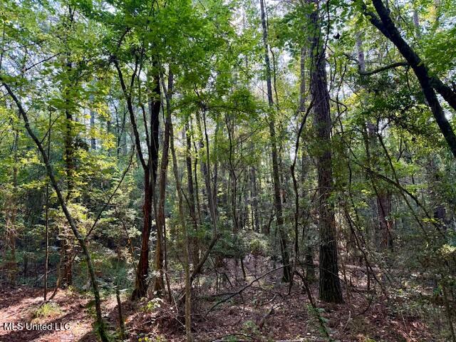 SW Goodwill Loop Loop