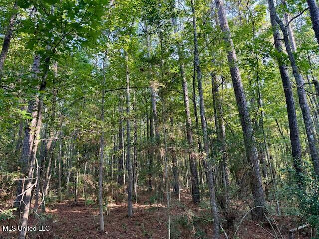 SW Goodwill Loop Loop