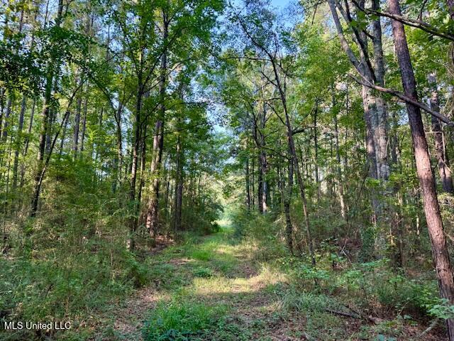 SW Goodwill Loop Loop