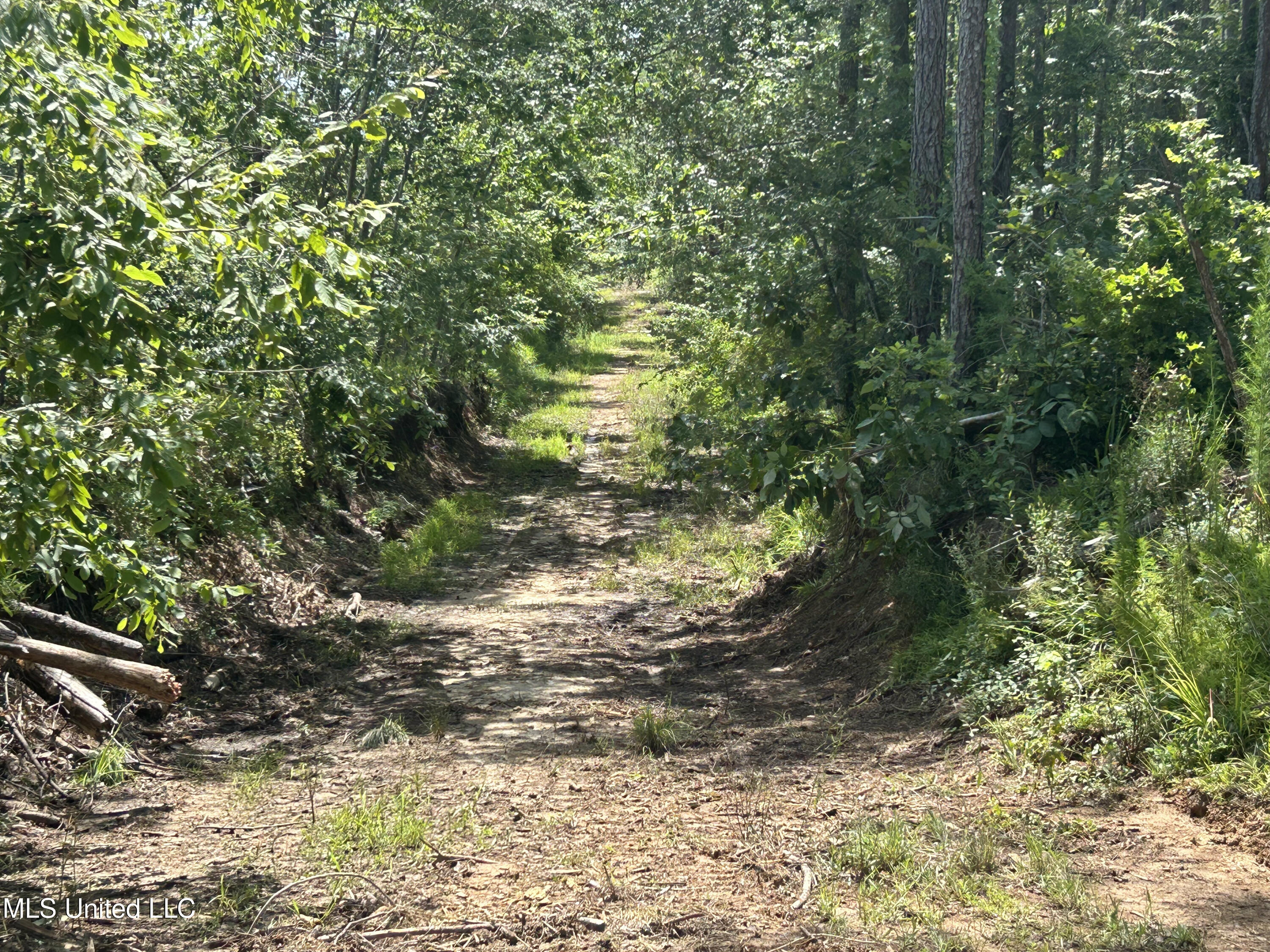 Bonds Road