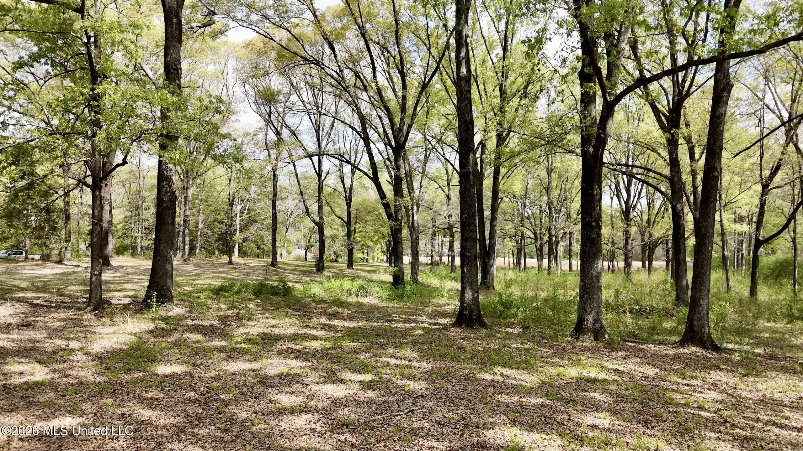 Richland Plantation