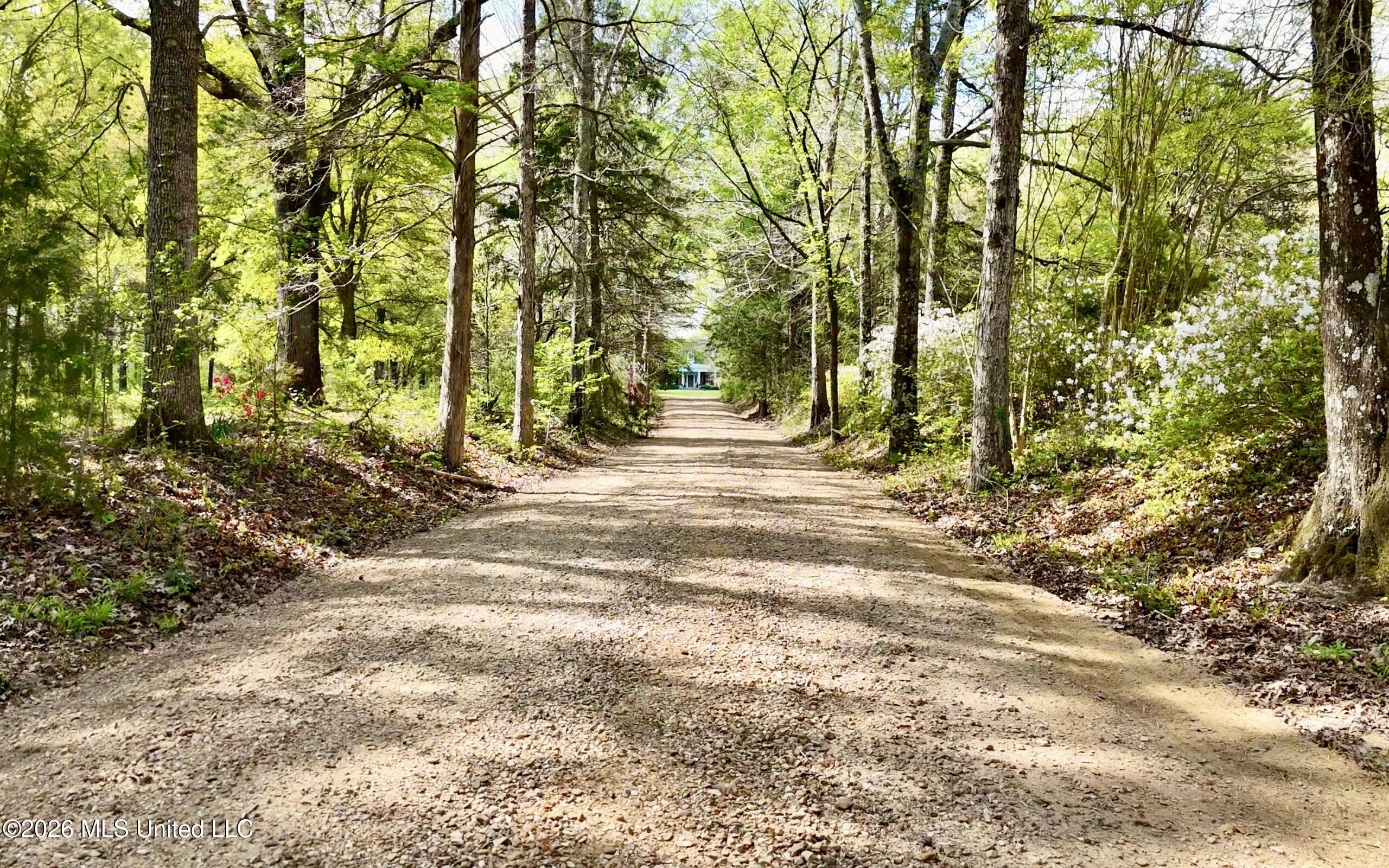 Richland Plantation