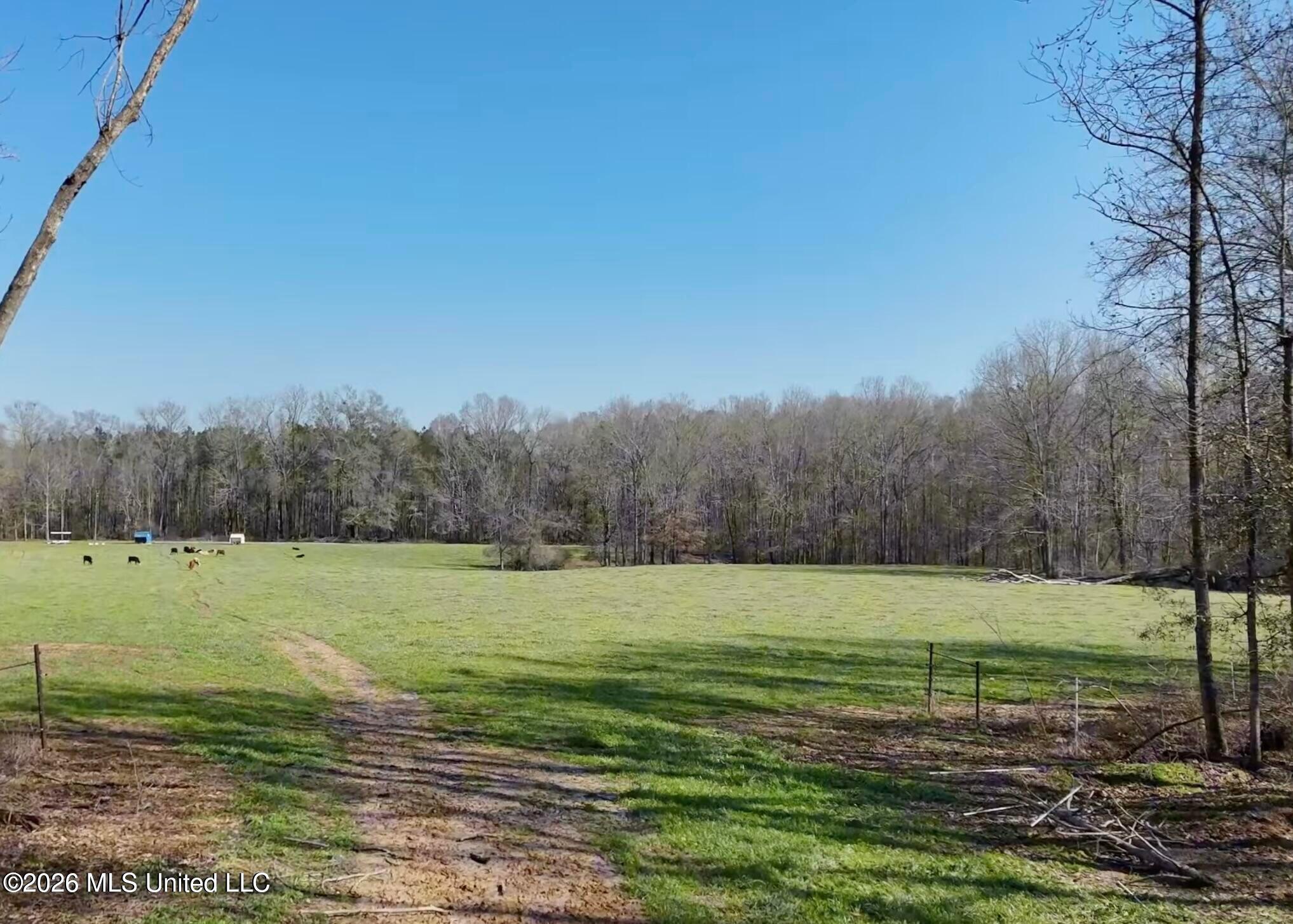 Richland Plantation
