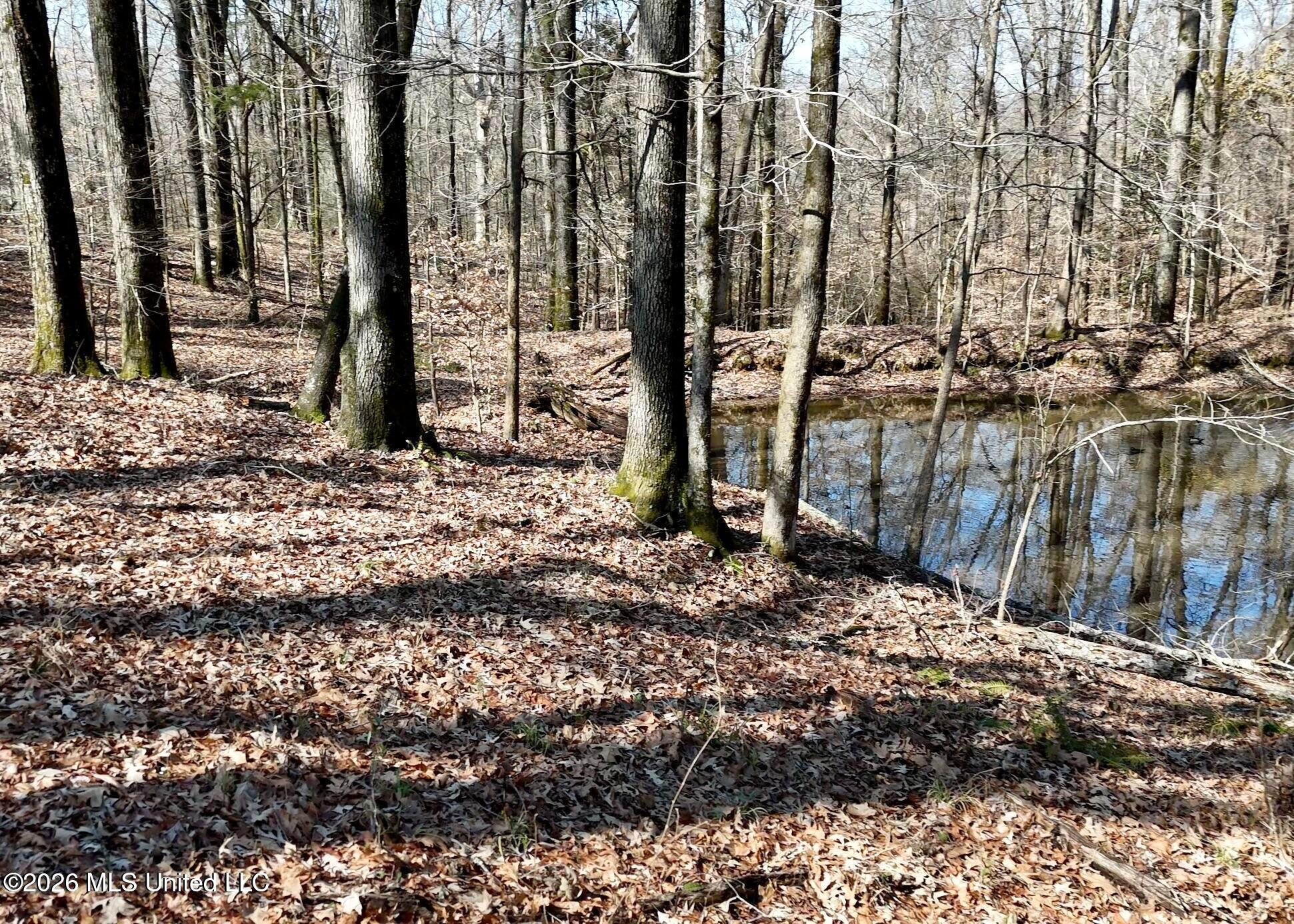 Richland Plantation