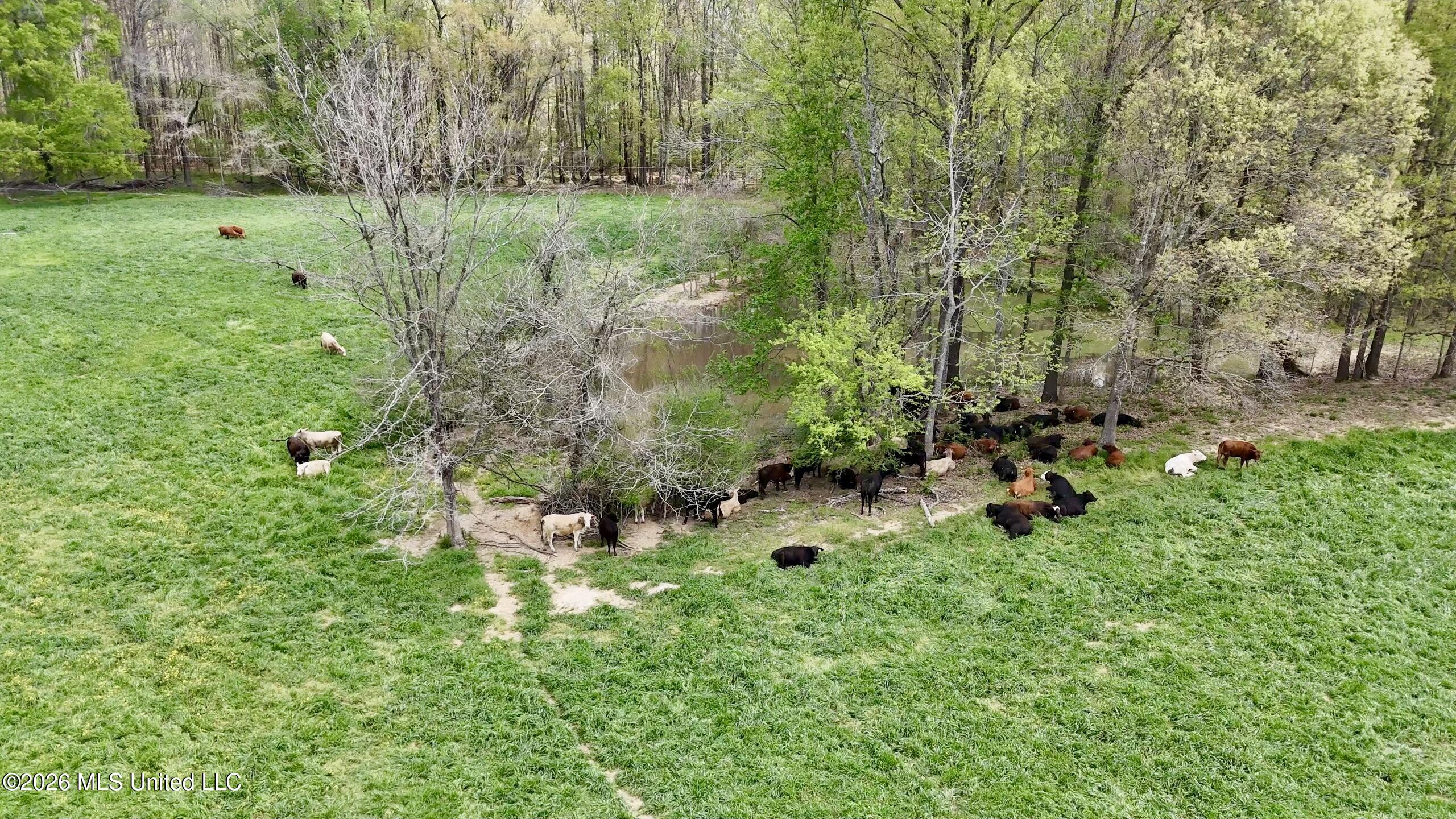 Richland Plantation