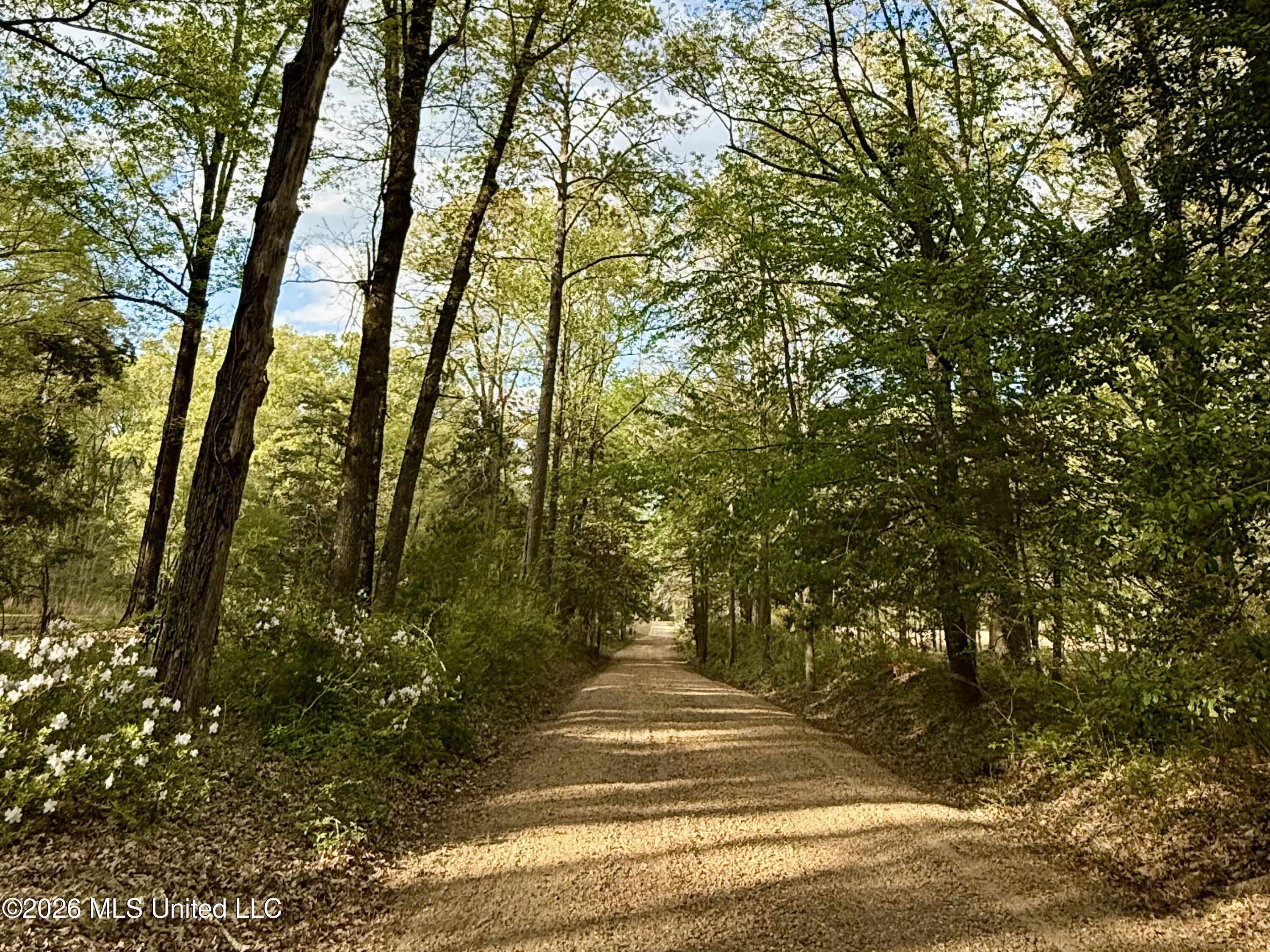 Richland Plantation