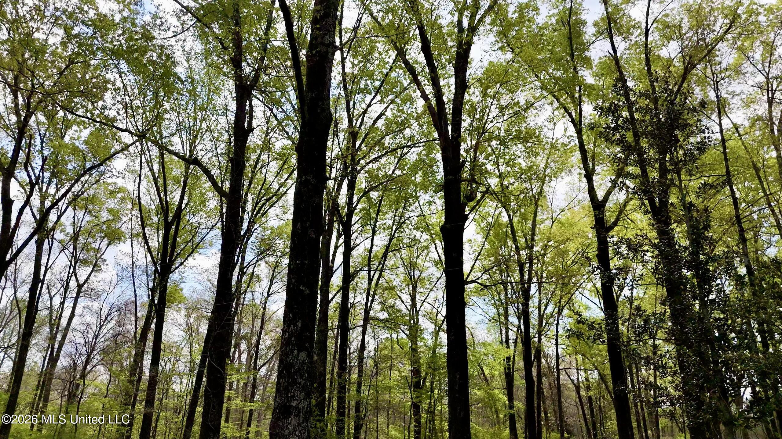 Richland Plantation