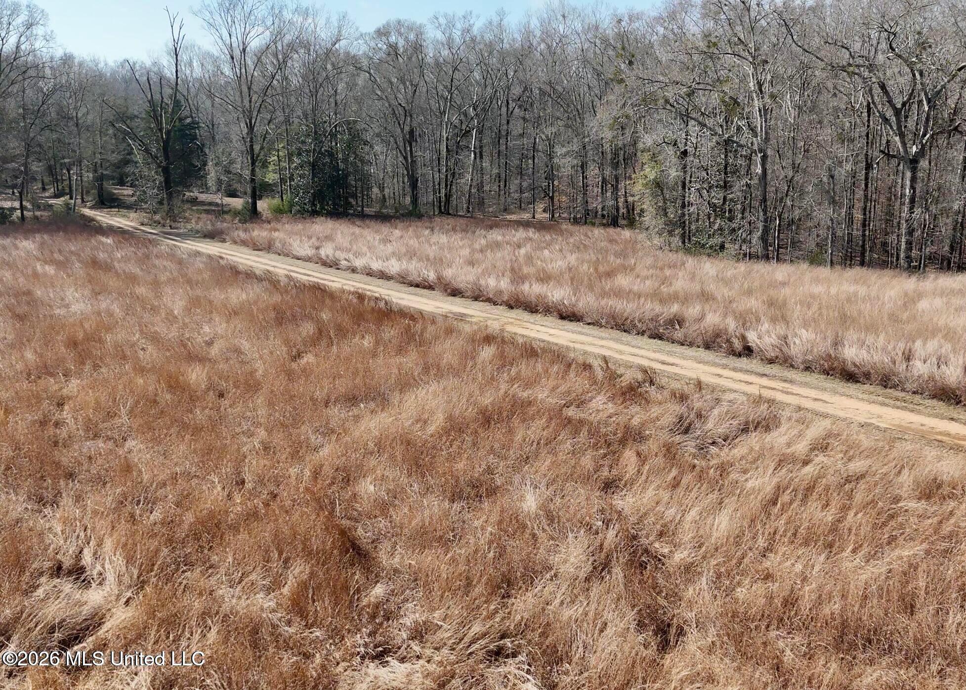 Richland Plantation