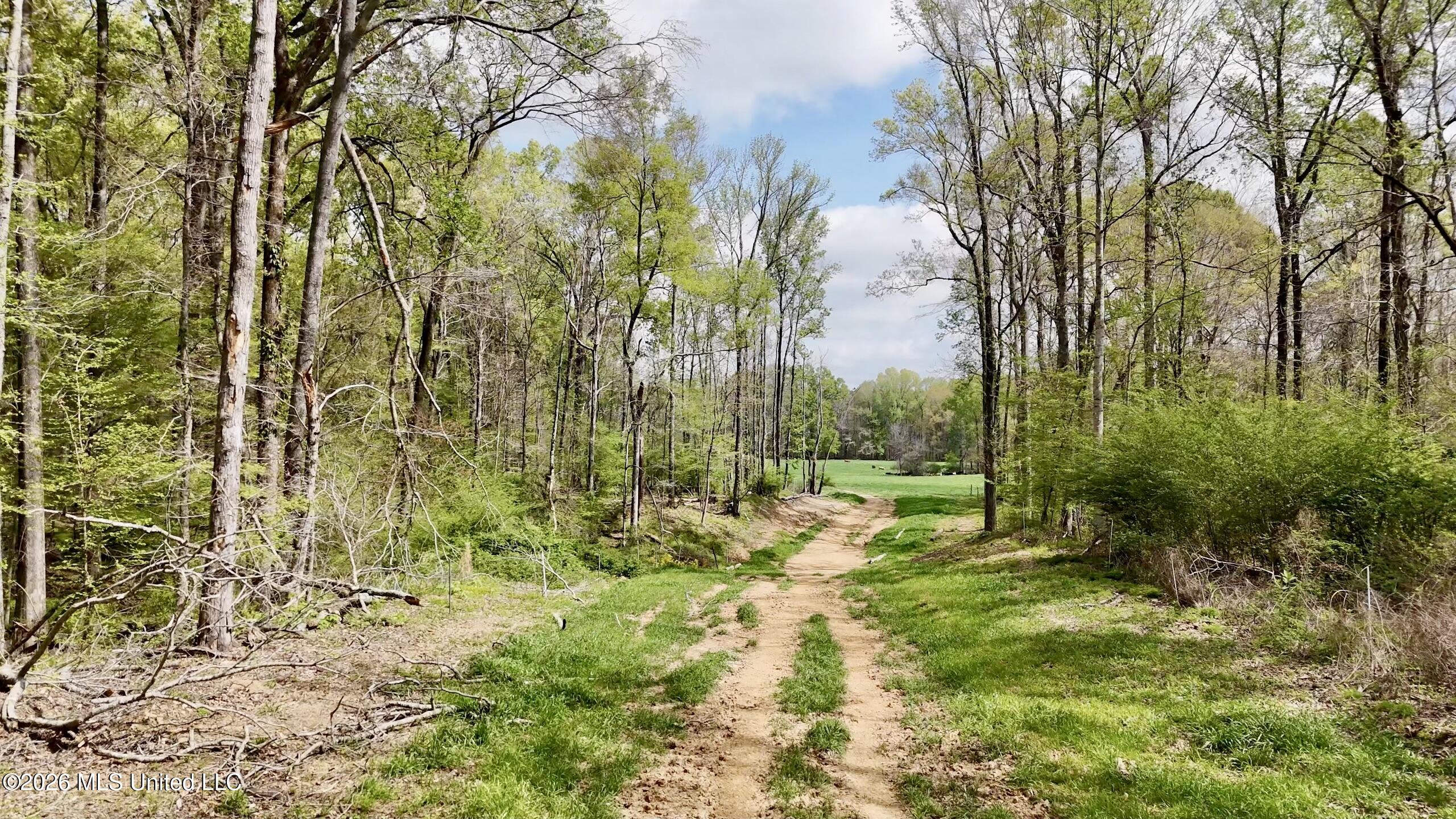 Richland Plantation