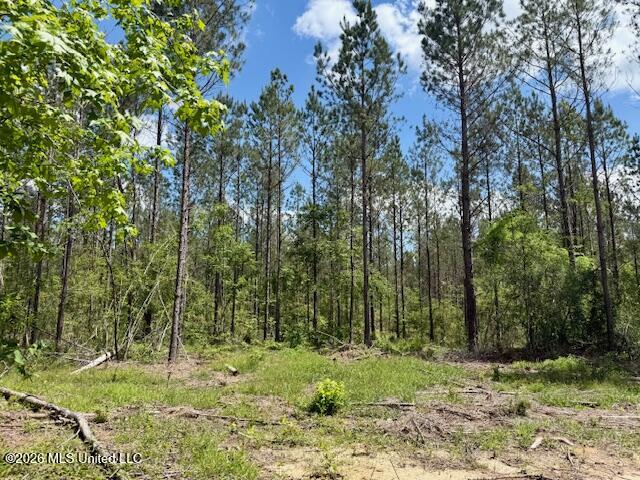 Magnolia Holmesville Road, McComb