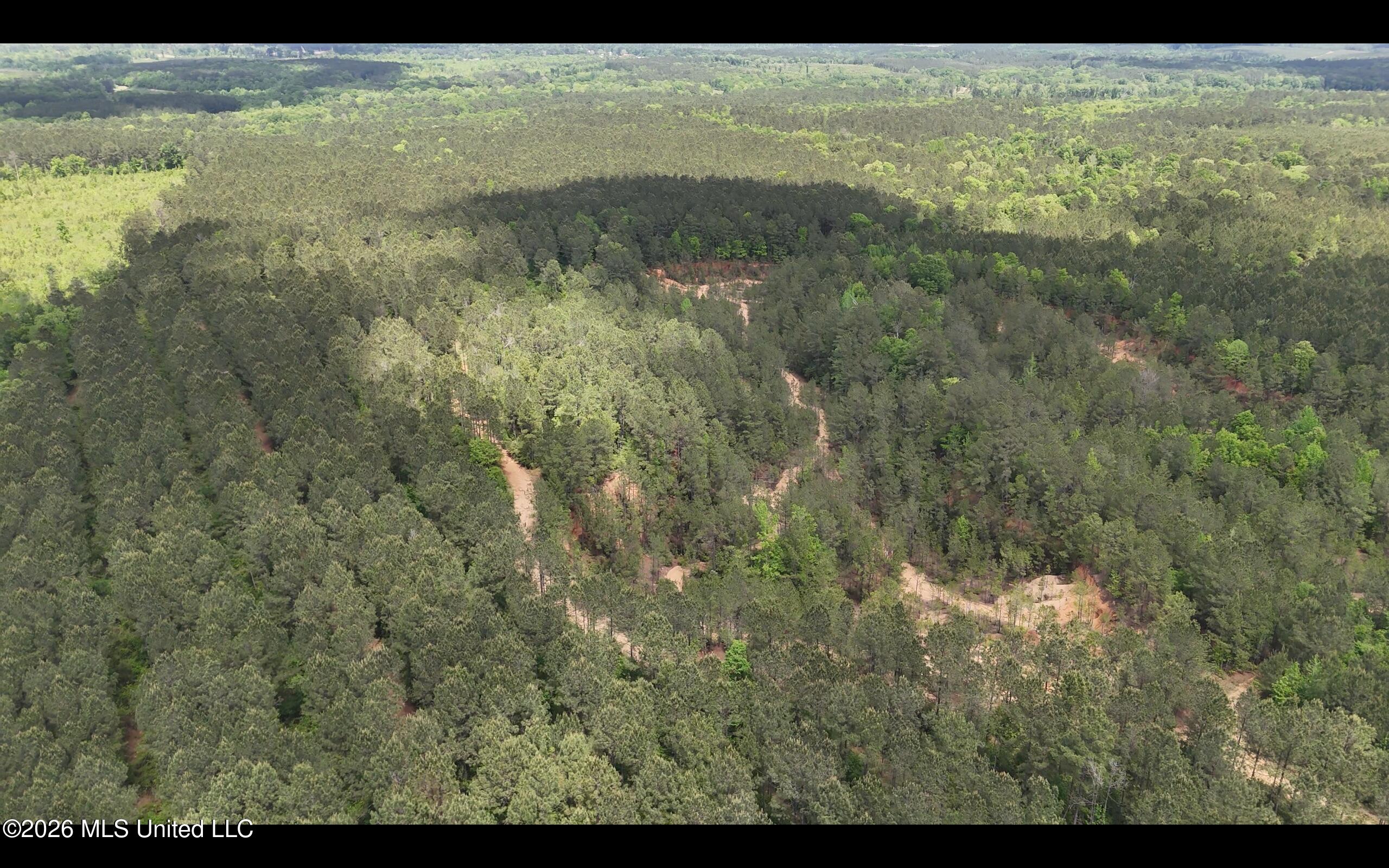 Magnolia Holmesville Road, McComb