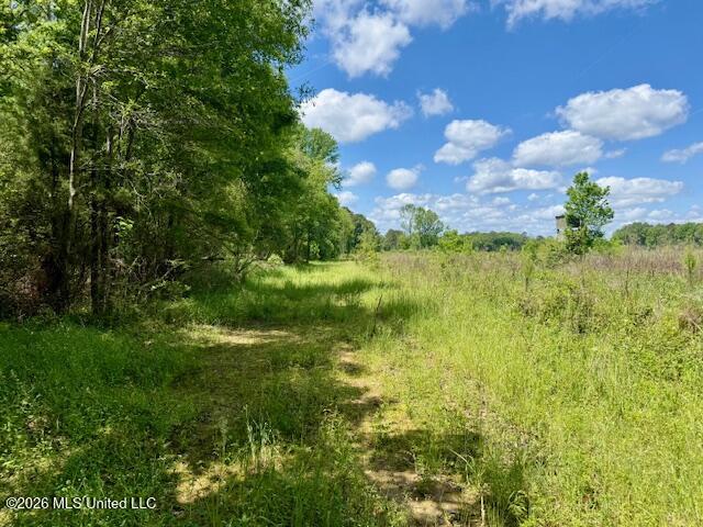 Magnolia Holmesville Road, McComb