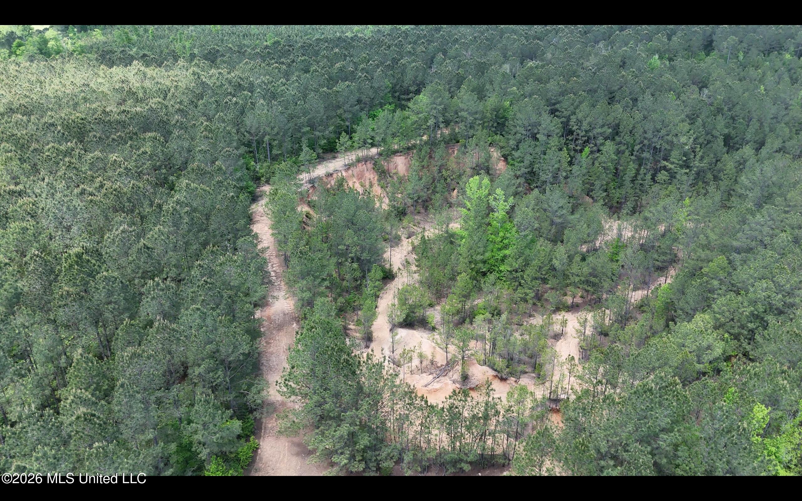 Magnolia Holmesville Road, McComb