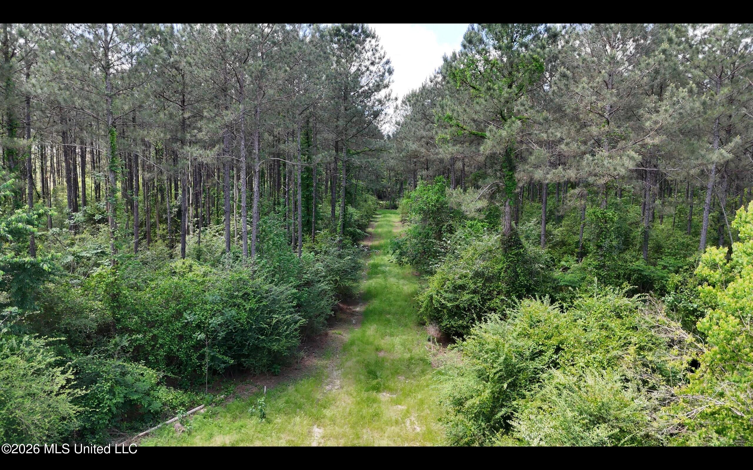 Magnolia Holmesville Road, McComb