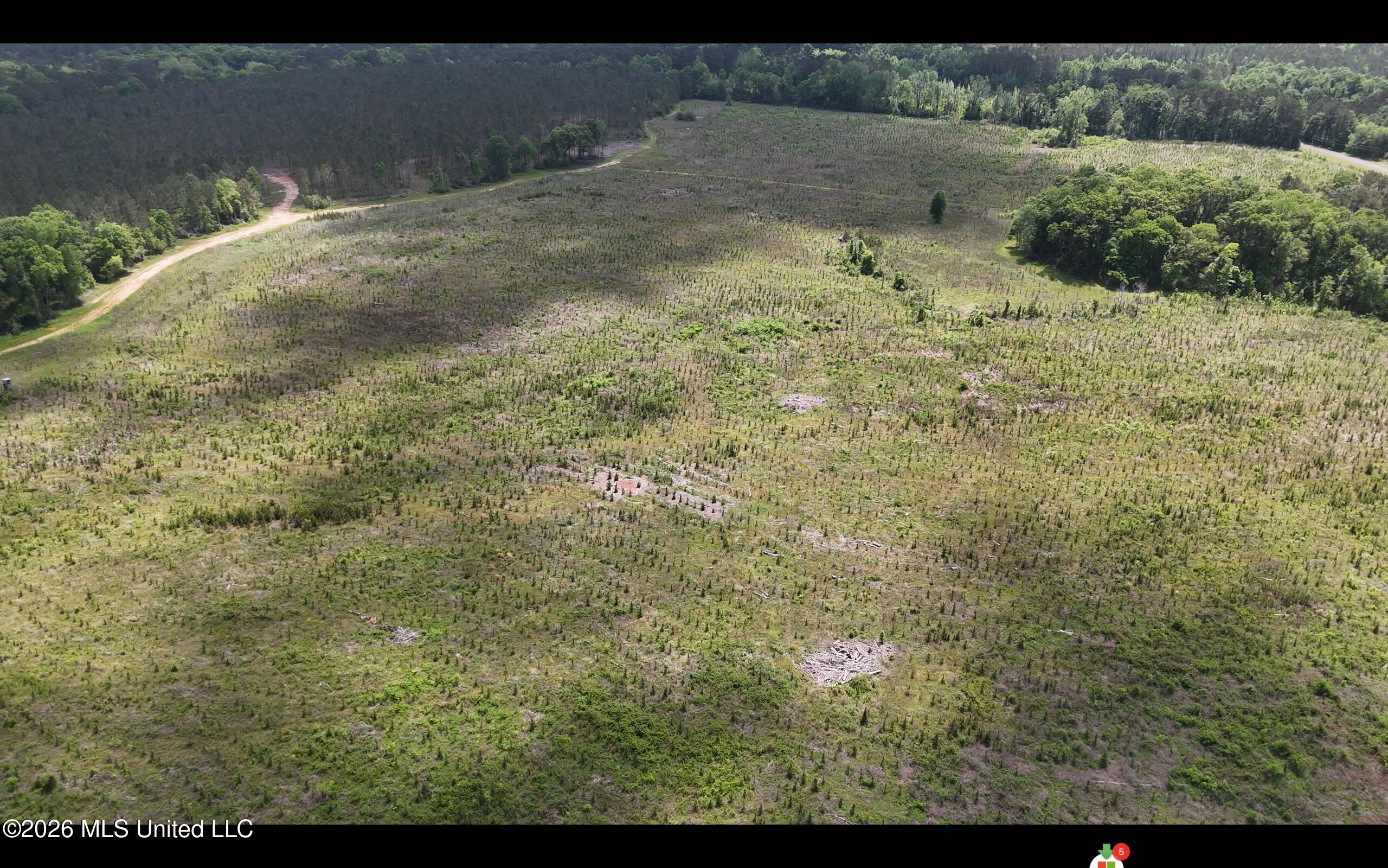 Magnolia Holmesville Road, McComb