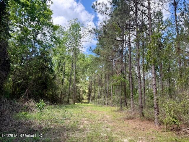 Magnolia Holmesville Road, McComb