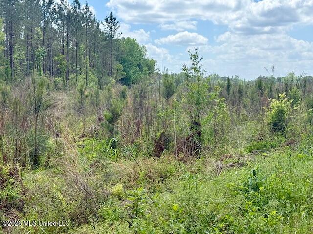 Magnolia Holmesville Road, McComb
