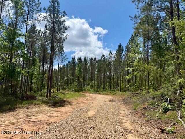 Magnolia Holmesville Road, McComb