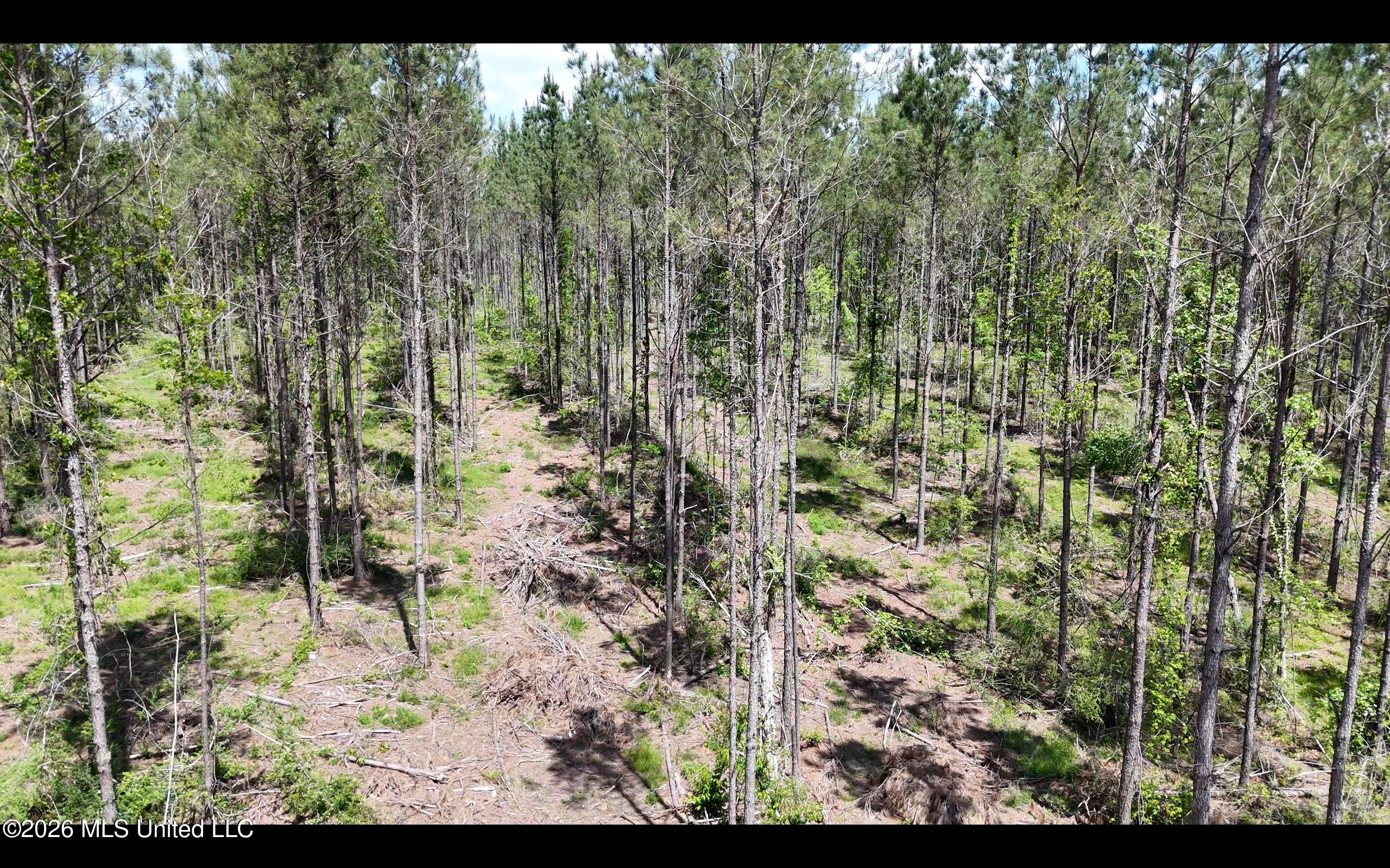 Magnolia Holmesville Road, McComb