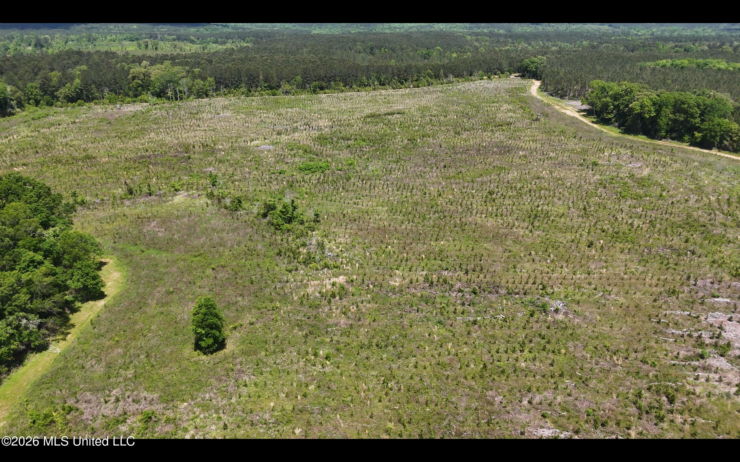 Magnolia Holmesville Road, McComb