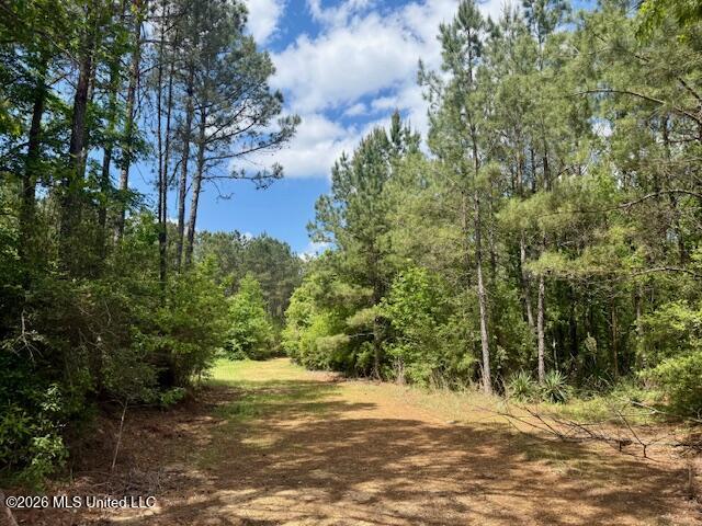 Magnolia Holmesville Road, McComb