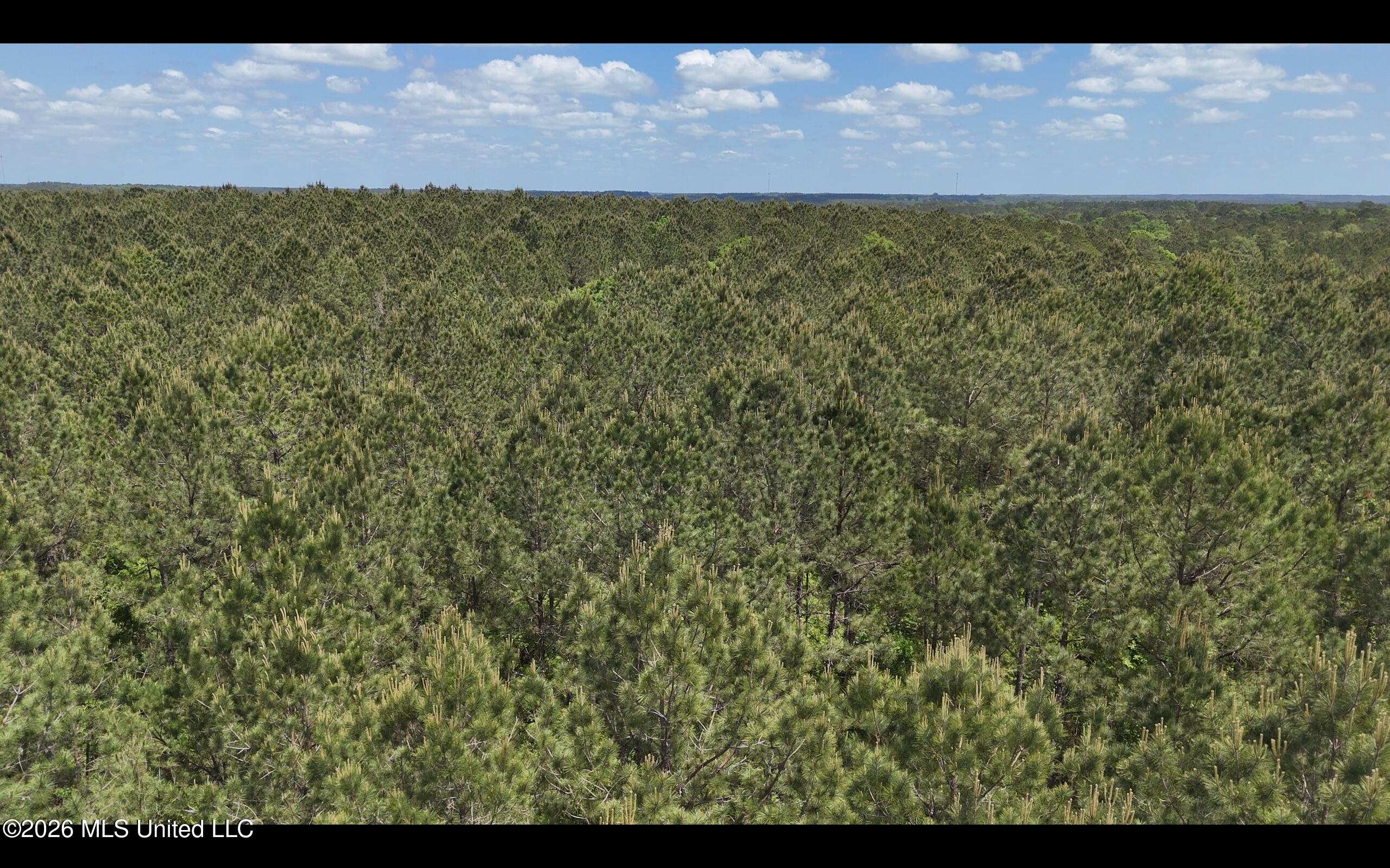 Magnolia Holmesville Road, McComb
