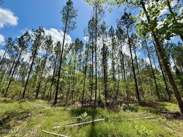 Magnolia Holmesville Road, McComb
