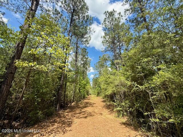 Magnolia Holmesville Road, McComb