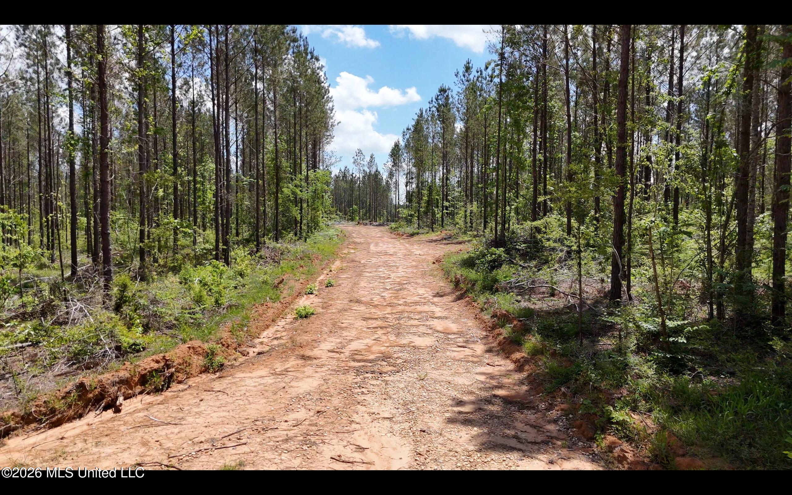 Magnolia Holmesville Road, McComb
