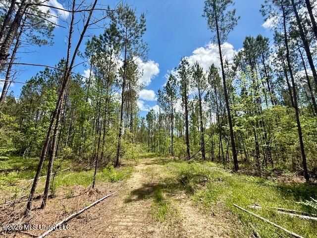 Magnolia Holmesville Road, McComb