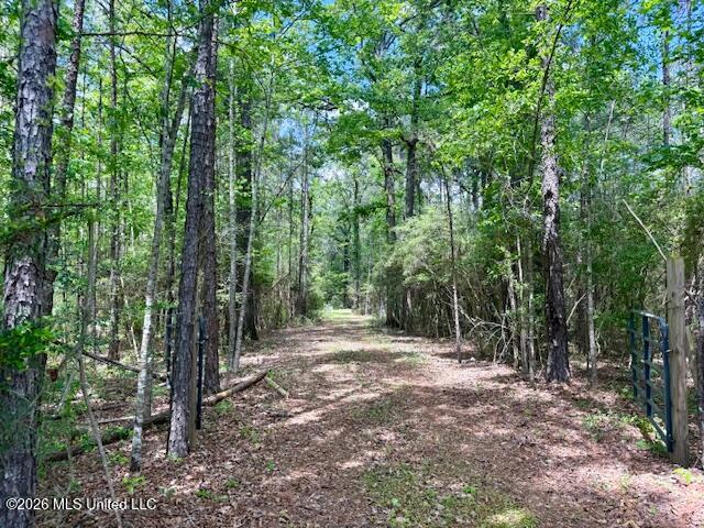 Magnolia Holmesville Road, McComb