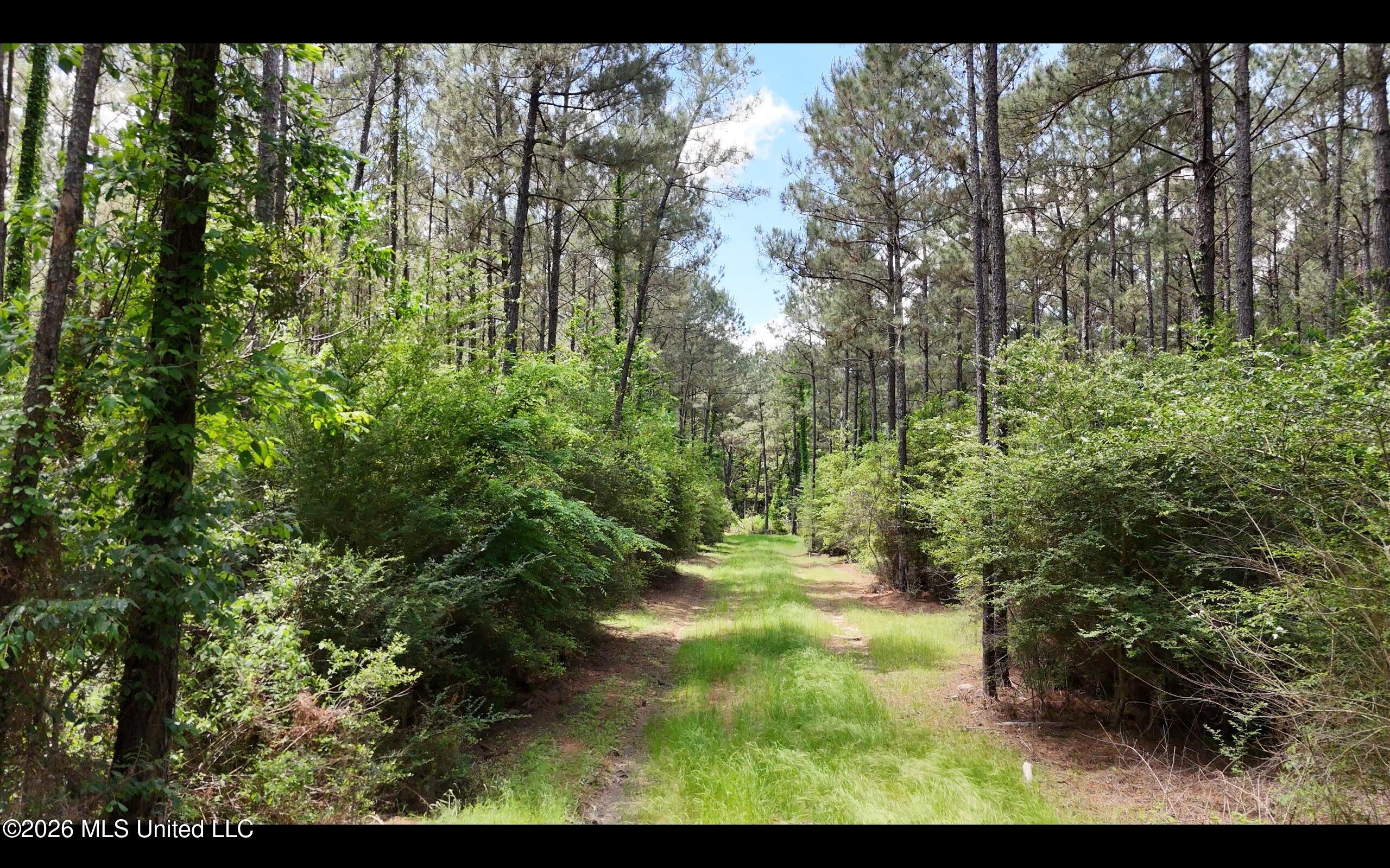 Magnolia Holmesville Road, McComb