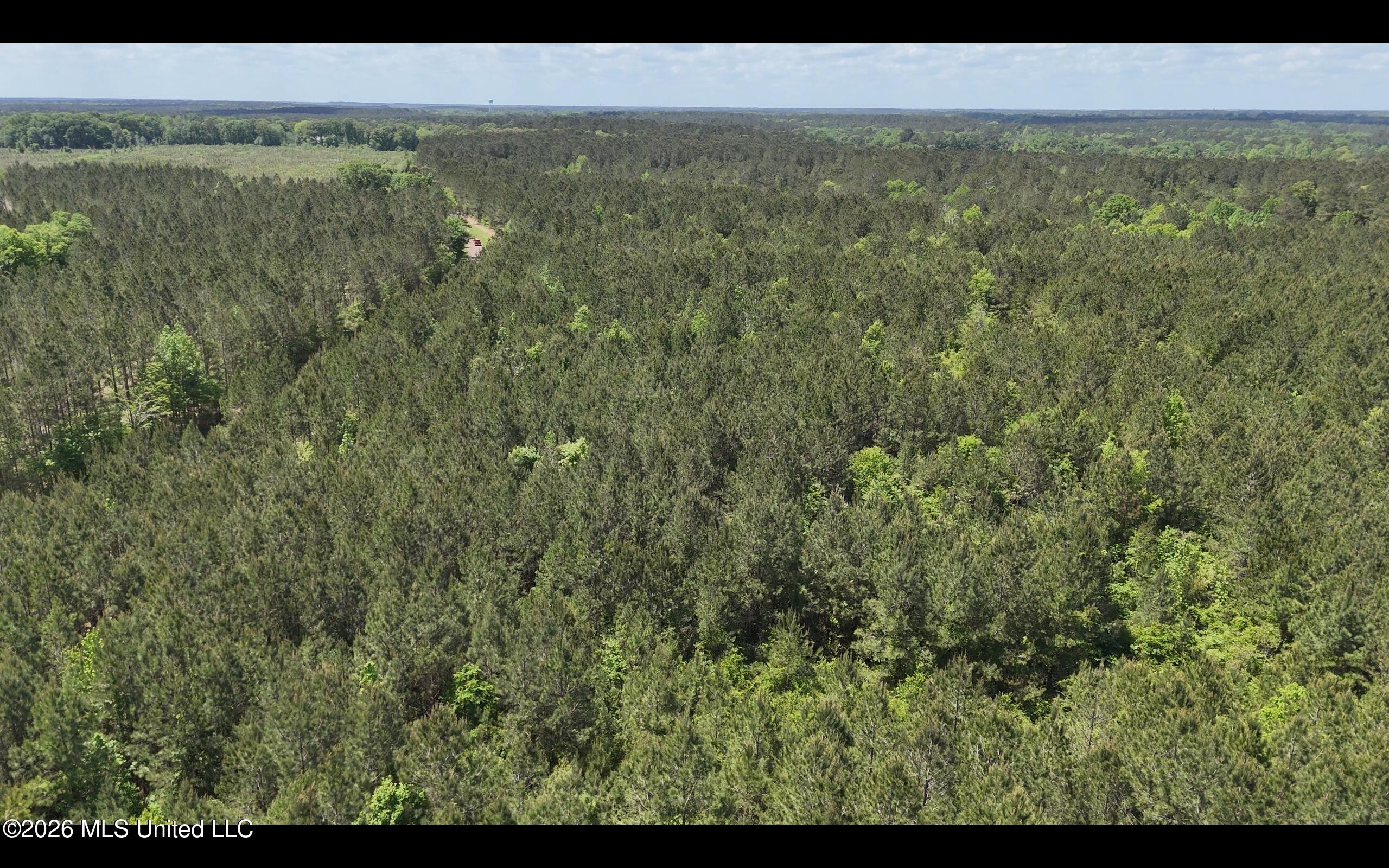 Magnolia Holmesville Road, McComb