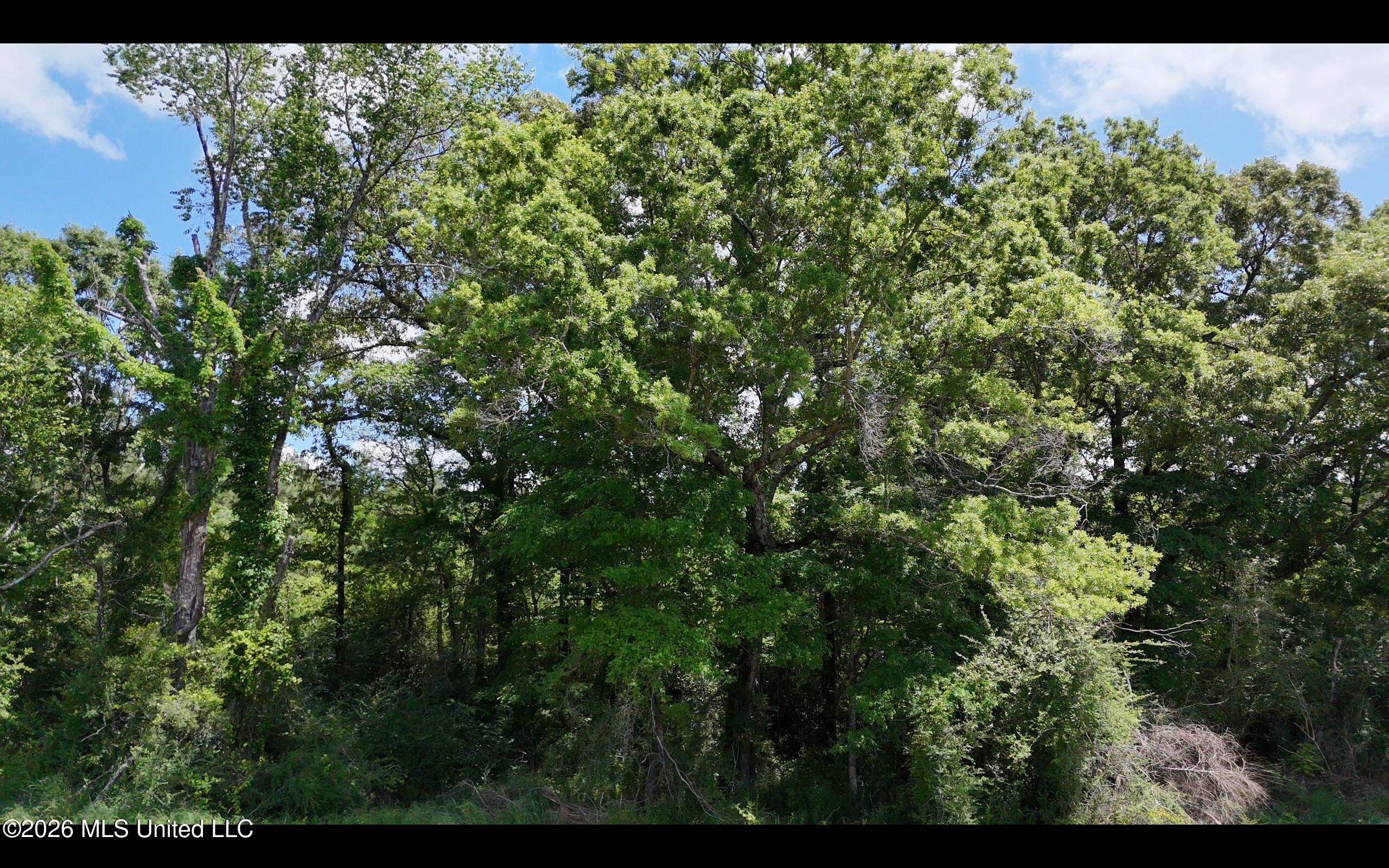Magnolia Holmesville Road, McComb