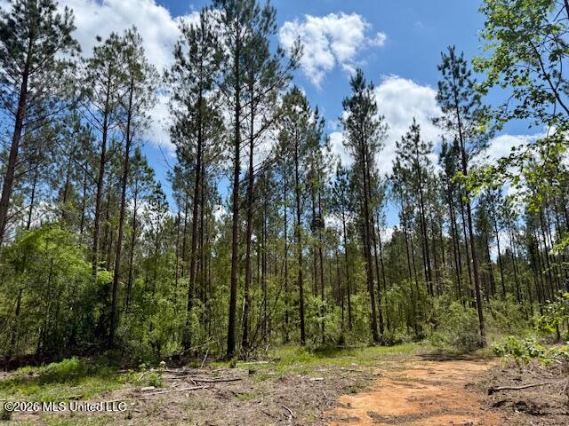 Magnolia Holmesville Road, McComb