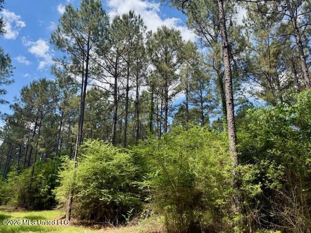 Magnolia Holmesville Road, McComb
