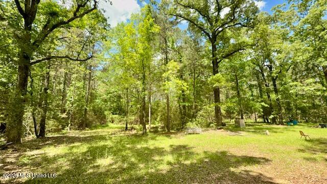 Magnolia Holmesville Road, McComb