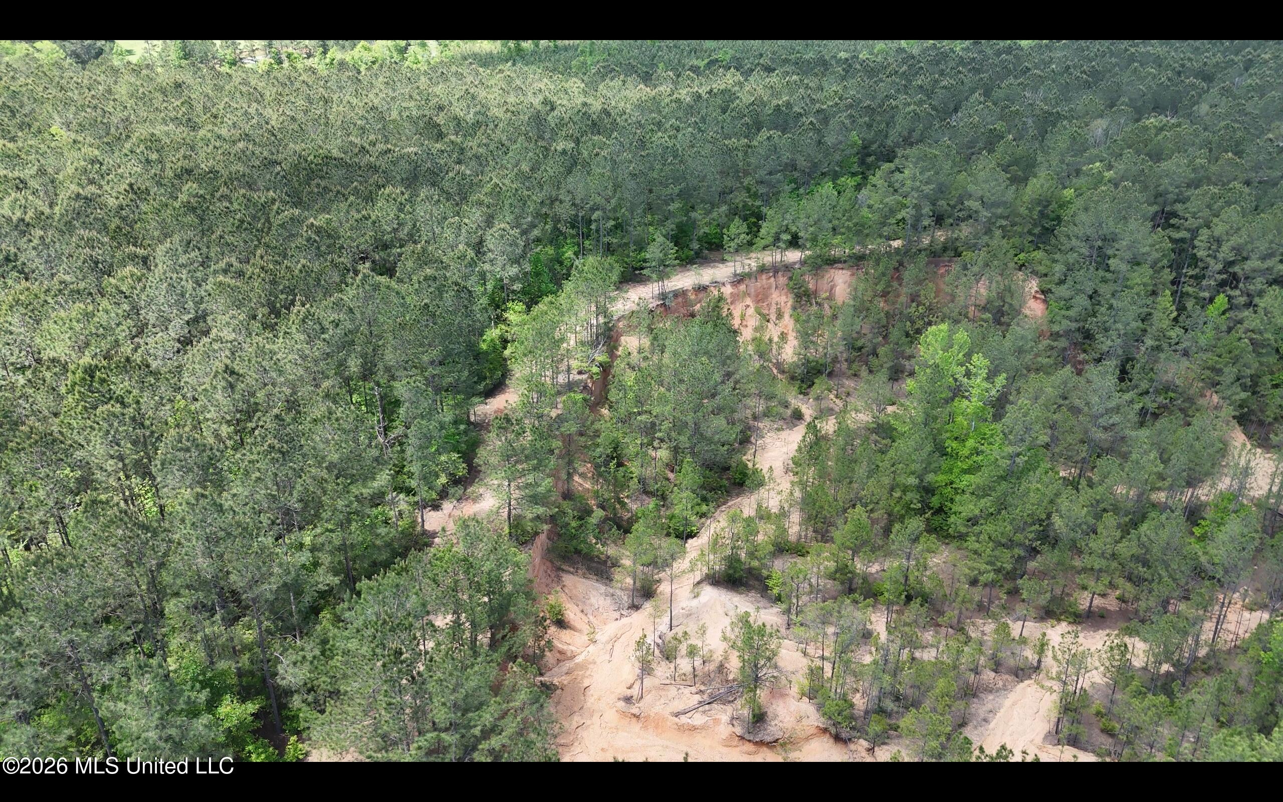 Magnolia Holmesville Road, McComb
