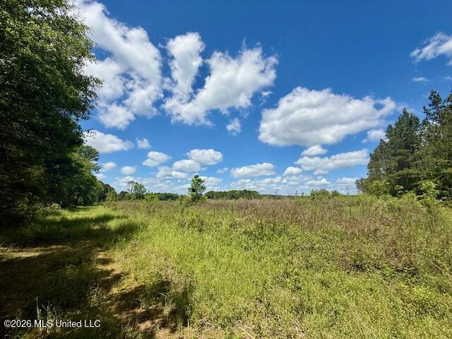 Magnolia Holmesville Road, McComb