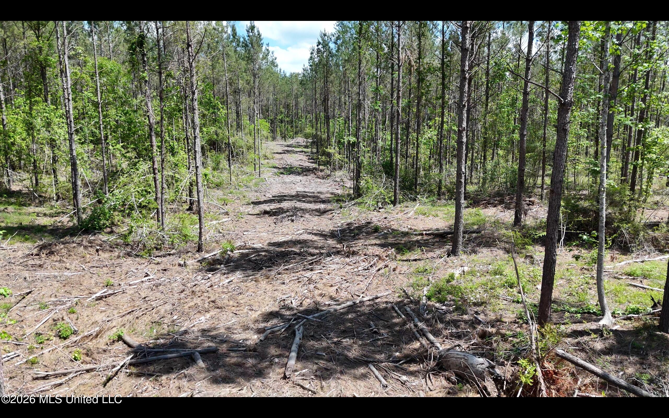 Magnolia Holmesville Road, McComb
