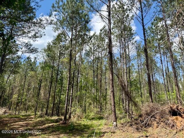 Magnolia Holmesville Road, McComb